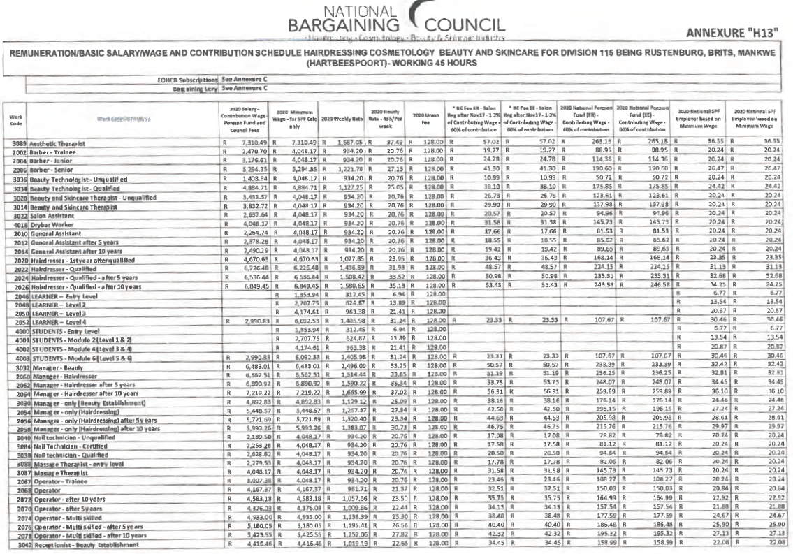 R663 Annexure H13 Remuneration